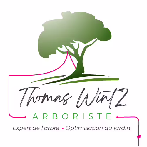 Logo thomas wintz arboriste, expert de l'arbre, optimisation du jardin